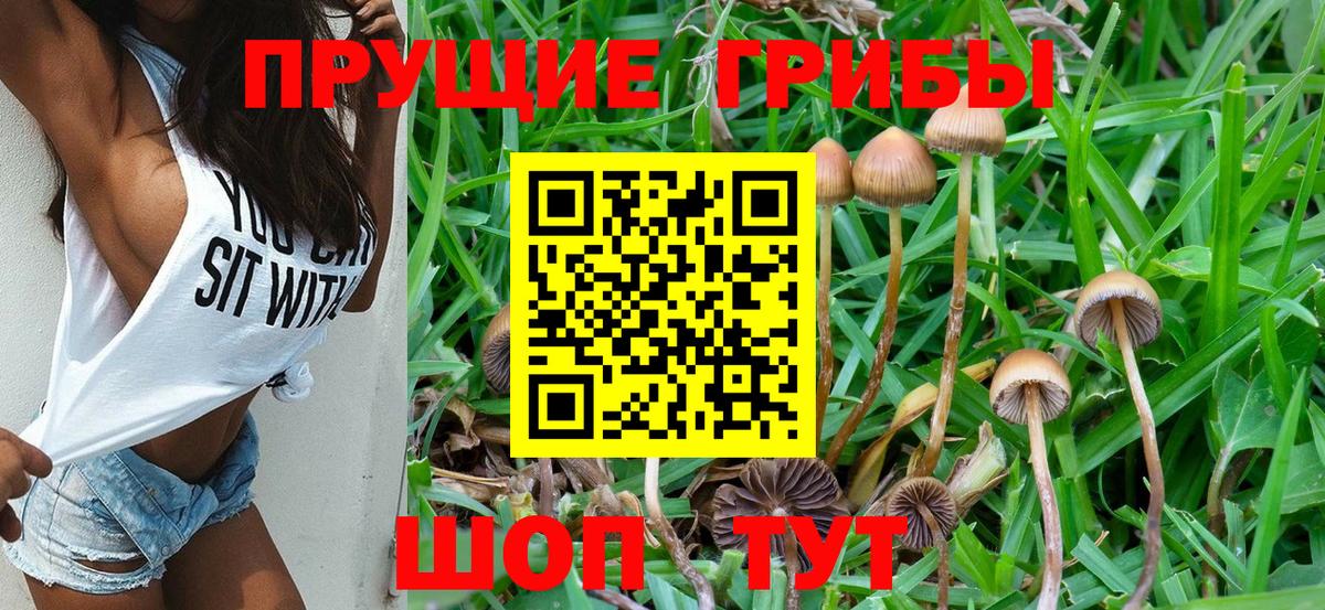 Псилоцибиновые грибы прущие грибы Вичуга