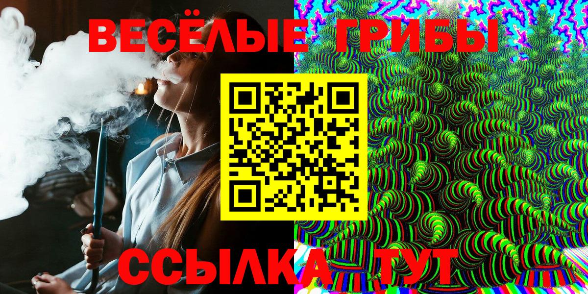 Вичуга  Псилоцибиновые грибы Cubensis  Псилоцибиновые грибы Psilocybine cubensis  Вход с VPN 